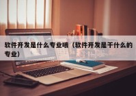 软件开发是什么专业哦（软件开发是干什么的专业）