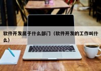 软件开发属于什么部门（软件开发的工作叫什么）