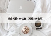 湖南常德seo优化（常德seo公司）