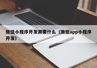 微信小程序开发需要什么（微信app小程序开发）