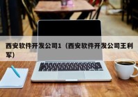 西安软件开发公司1（西安软件开发公司王利军）